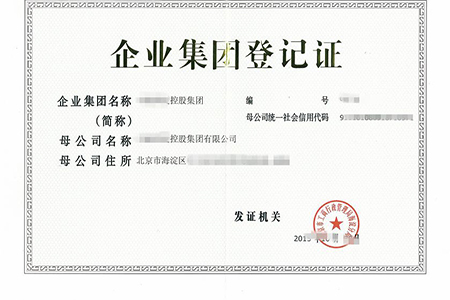 注册集团公司